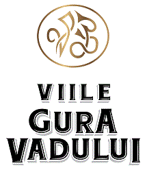 VIILE GURA VADULUI