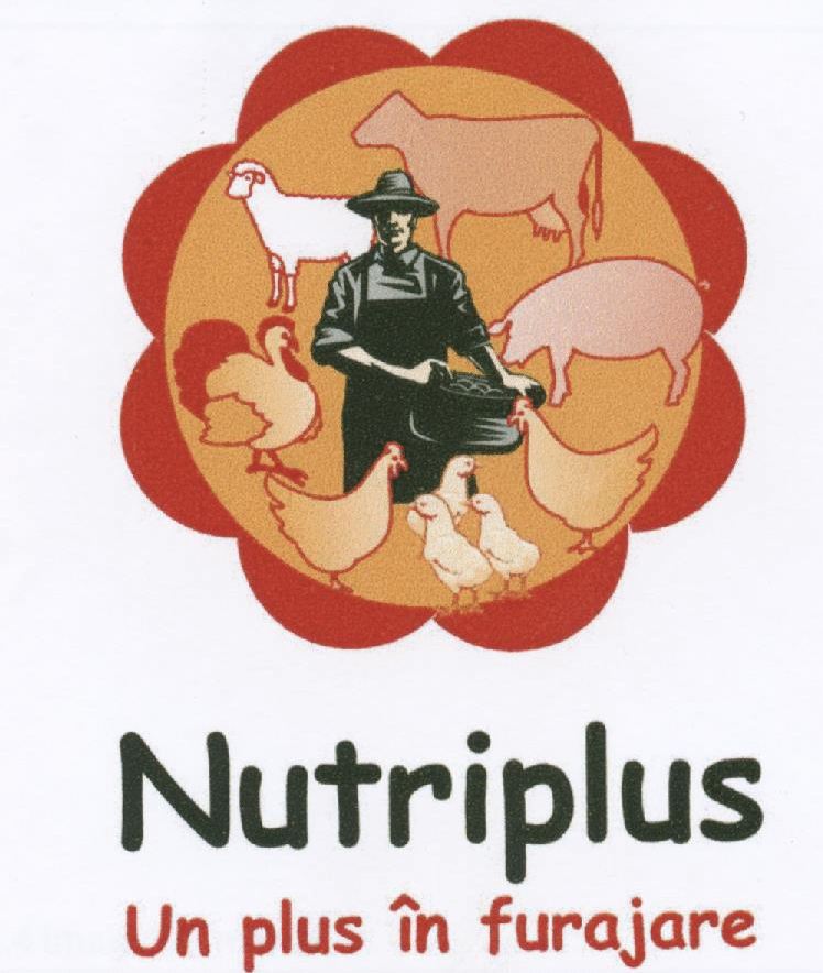 Nutriplus Un plus în furajare