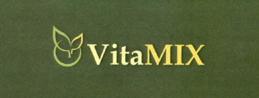 VitaMix