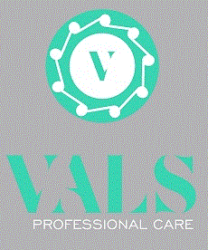 V VALS PROFESSIONAL CARE