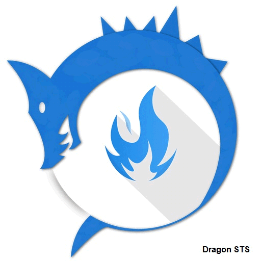 Dragon STS