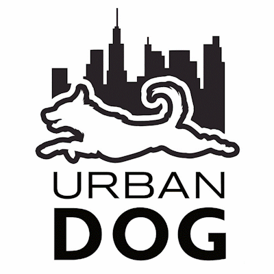 URBAN DOG