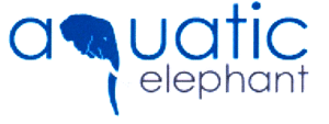 aquatic elephant