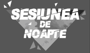 SESIUNEA DE NOAPTE