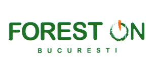 FOREST ON BUCURESTI