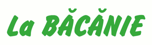 La BĂCĂNIE