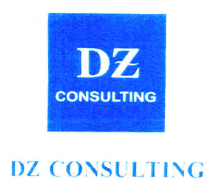 DZ CONSULTING