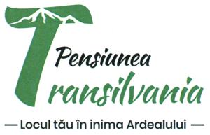 Pensiunea Transilvania Locul tău în inima Ardealului