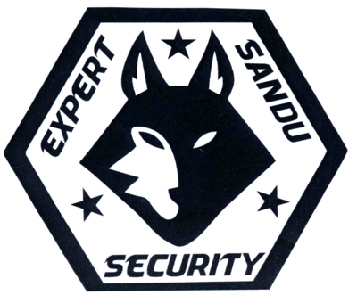 EXPERT SANDU SECURITY
