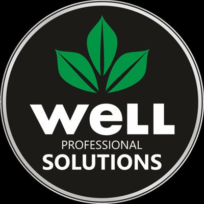 WELL PROFESSIONAL SOLUTIONS