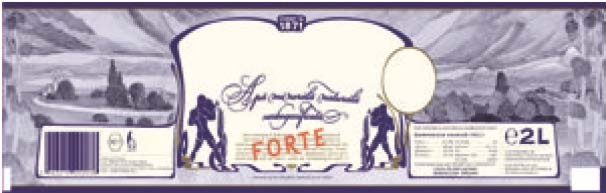 Apă minerală naturală carbogazificată FORTE