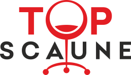 TOP SCAUNE