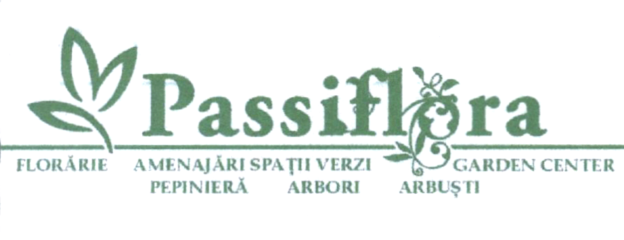Passiflora FLORĂRIE AMENAJĂRI SPAȚII VERZI GARDEN CENTER PEPINIERĂ ARBORI ARBUȘTI
