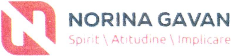 N NORINA GAVAN Spirit \ Atitudine \ Implicare