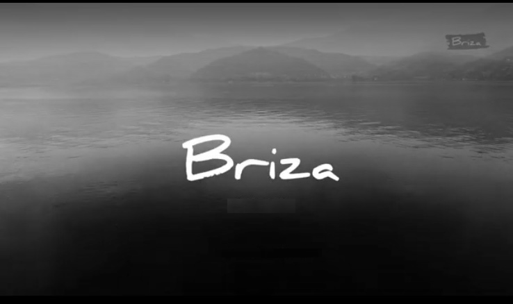 Briza