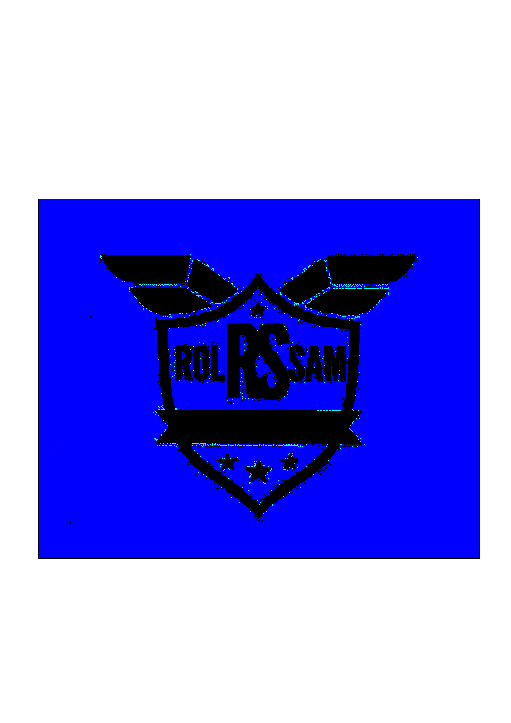 RS ROLSAM SECURITY
