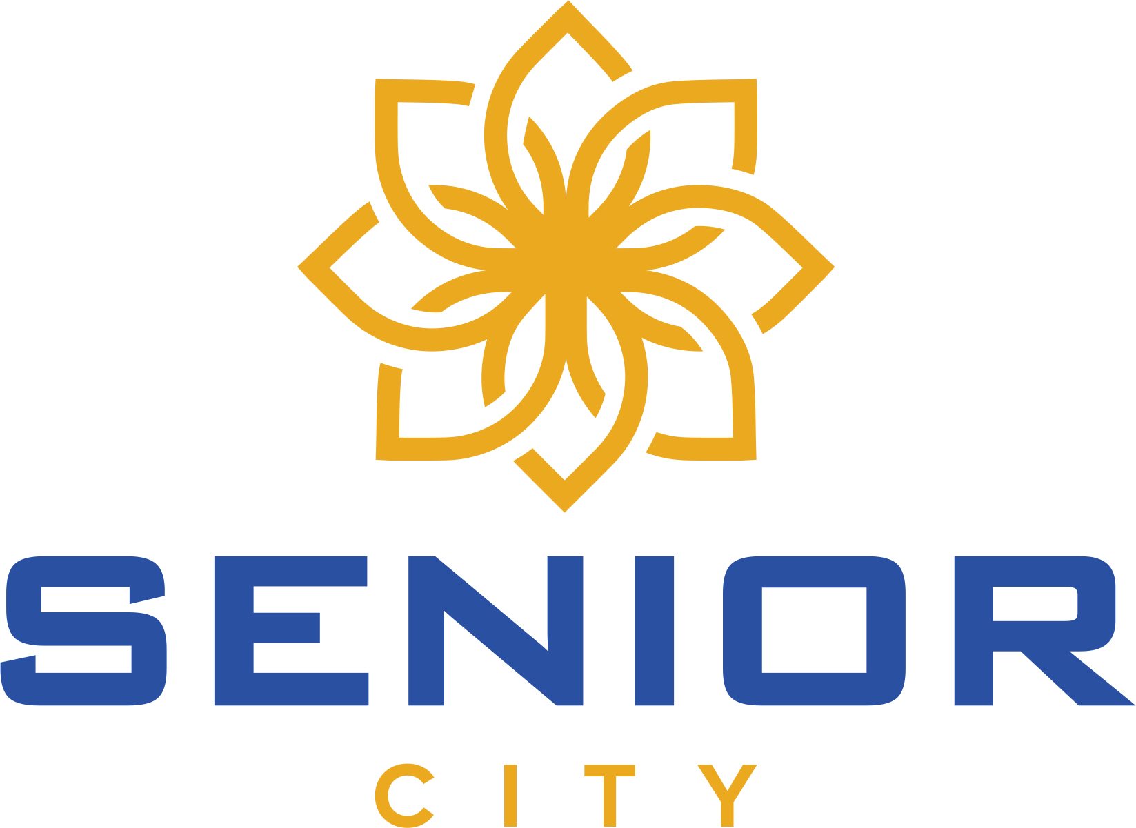 SENIOR CITY