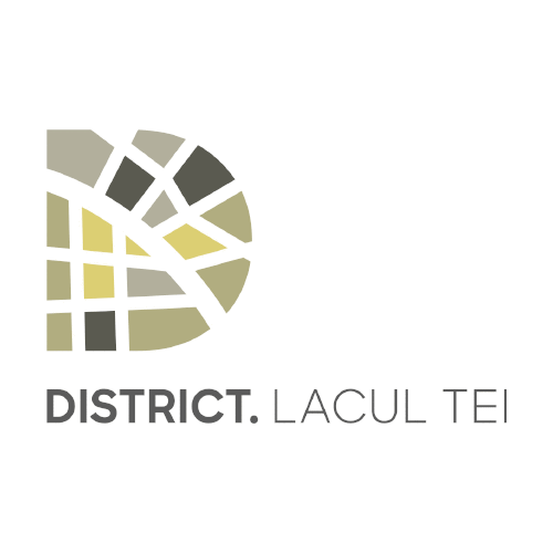 DISTRICT. LACUL TEI
