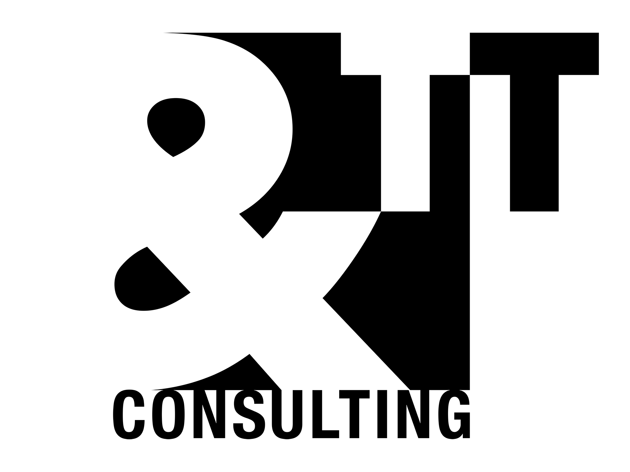TT & CONSULTING