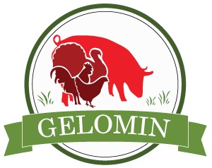GELOMIN