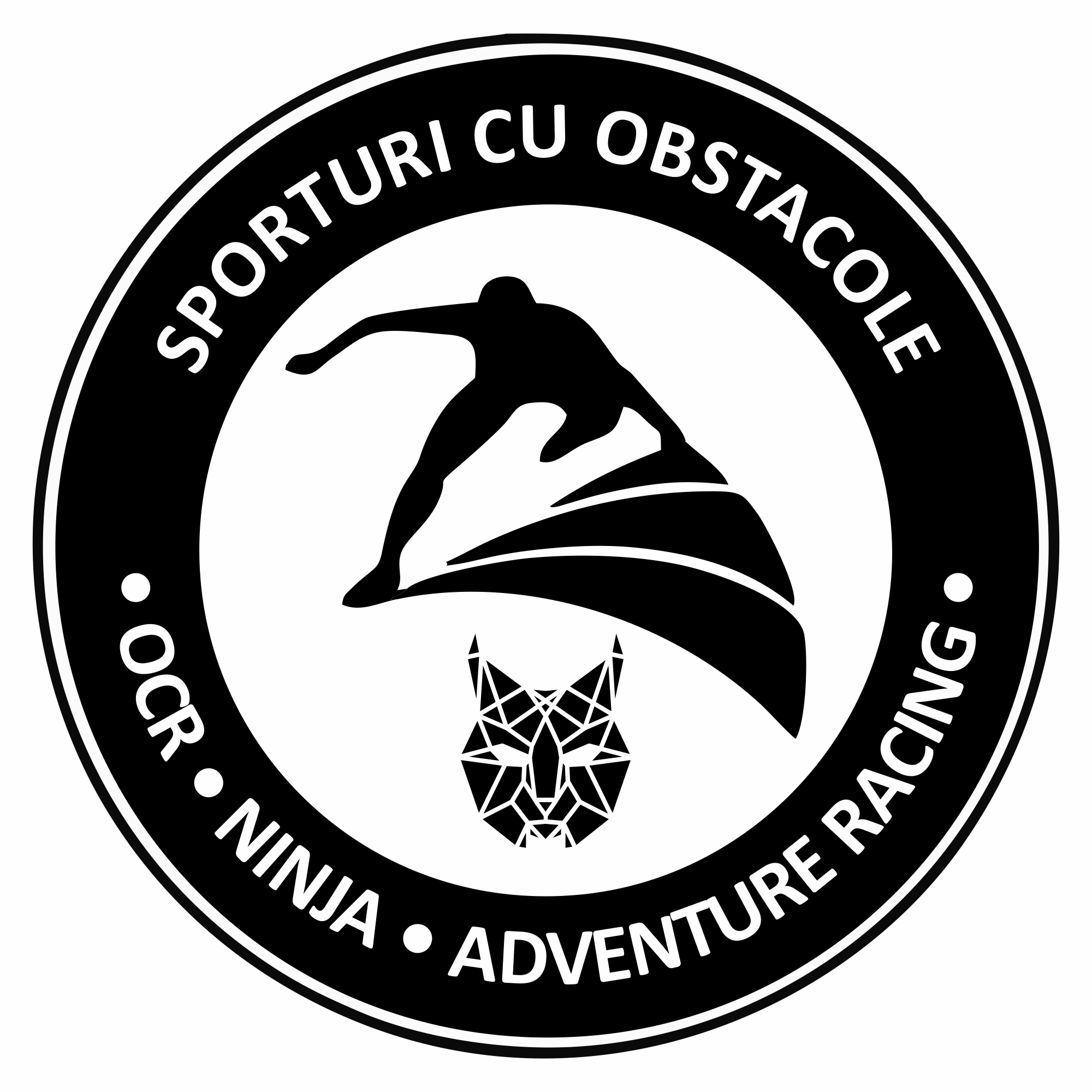 SPORTURI CU OBSTACOLE OCR. NINJA. ADVENTURE RACING
