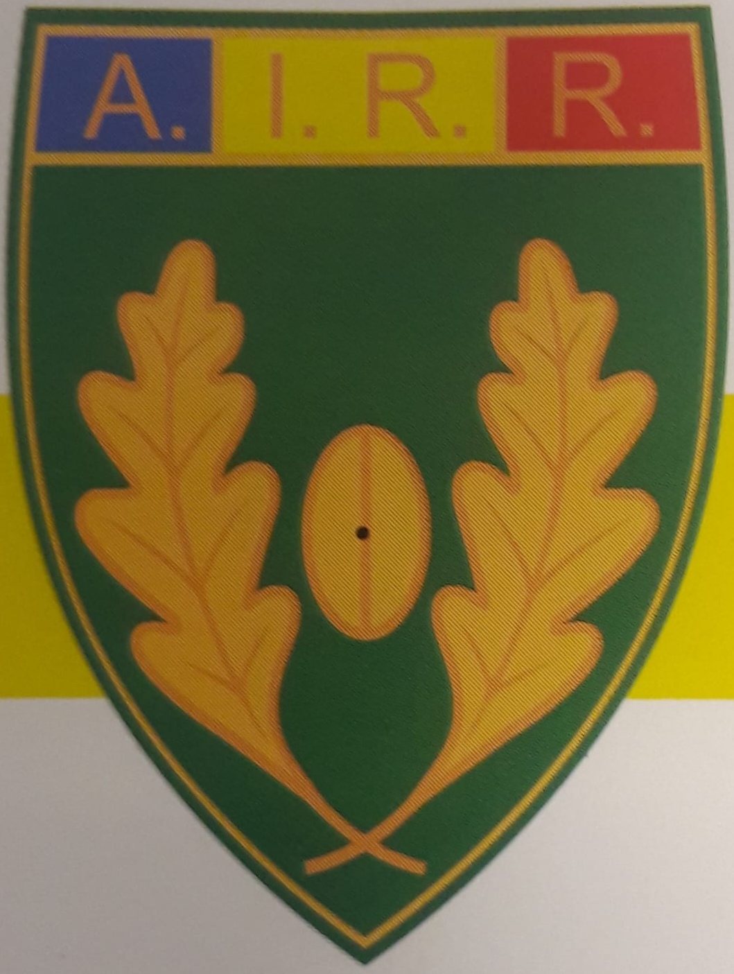 Asociatia Internationalilor de Rugby - Romania, A.I.R.R.