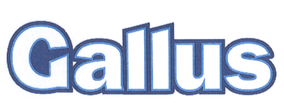 Gallus