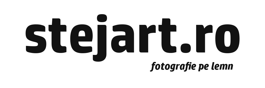 stejart.ro fotografie pe lemn