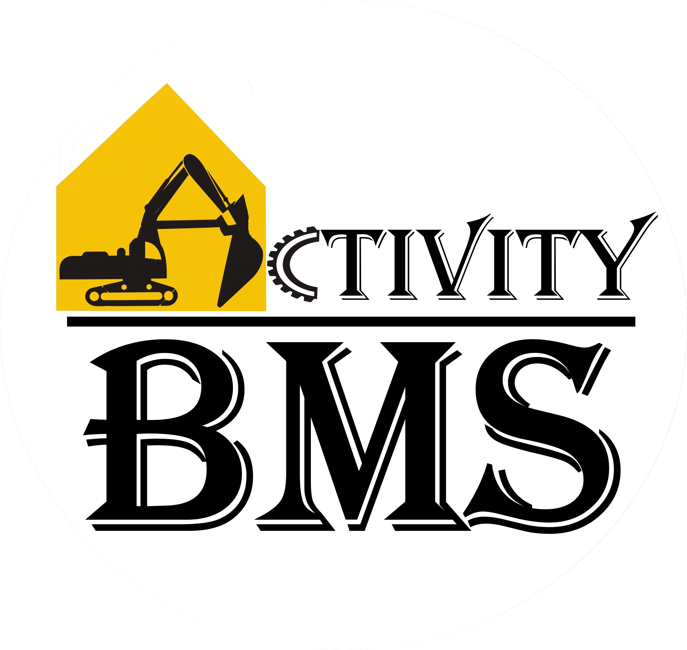 ACTIVITY BMS