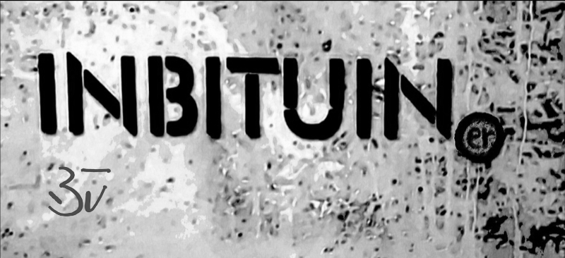 INBITUINer