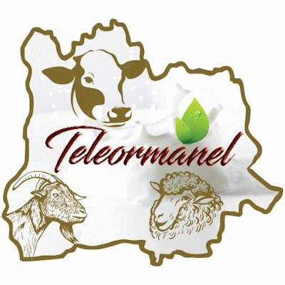 TELEORMĂNEL