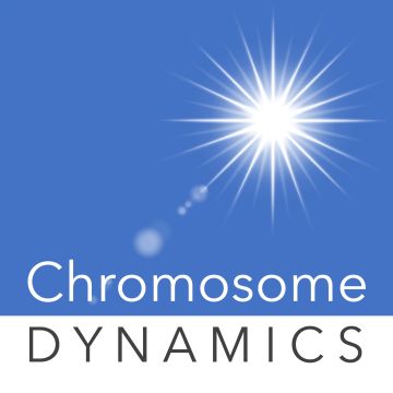 Chromosome DYNAMICS