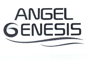 ANGEL GENESIS