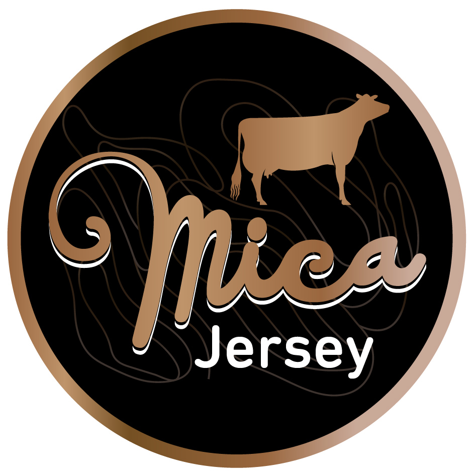 mica Jersey
