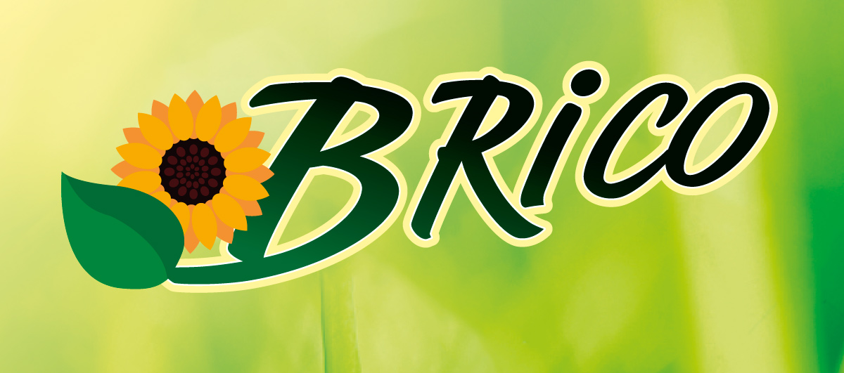 BRICO