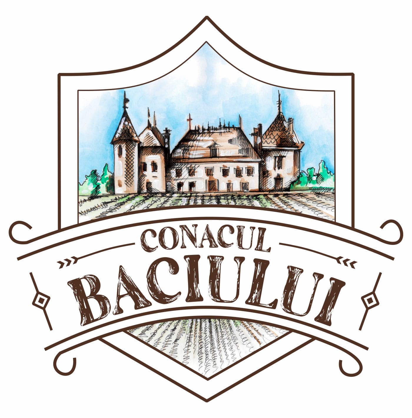 CONACUL BACIULUI