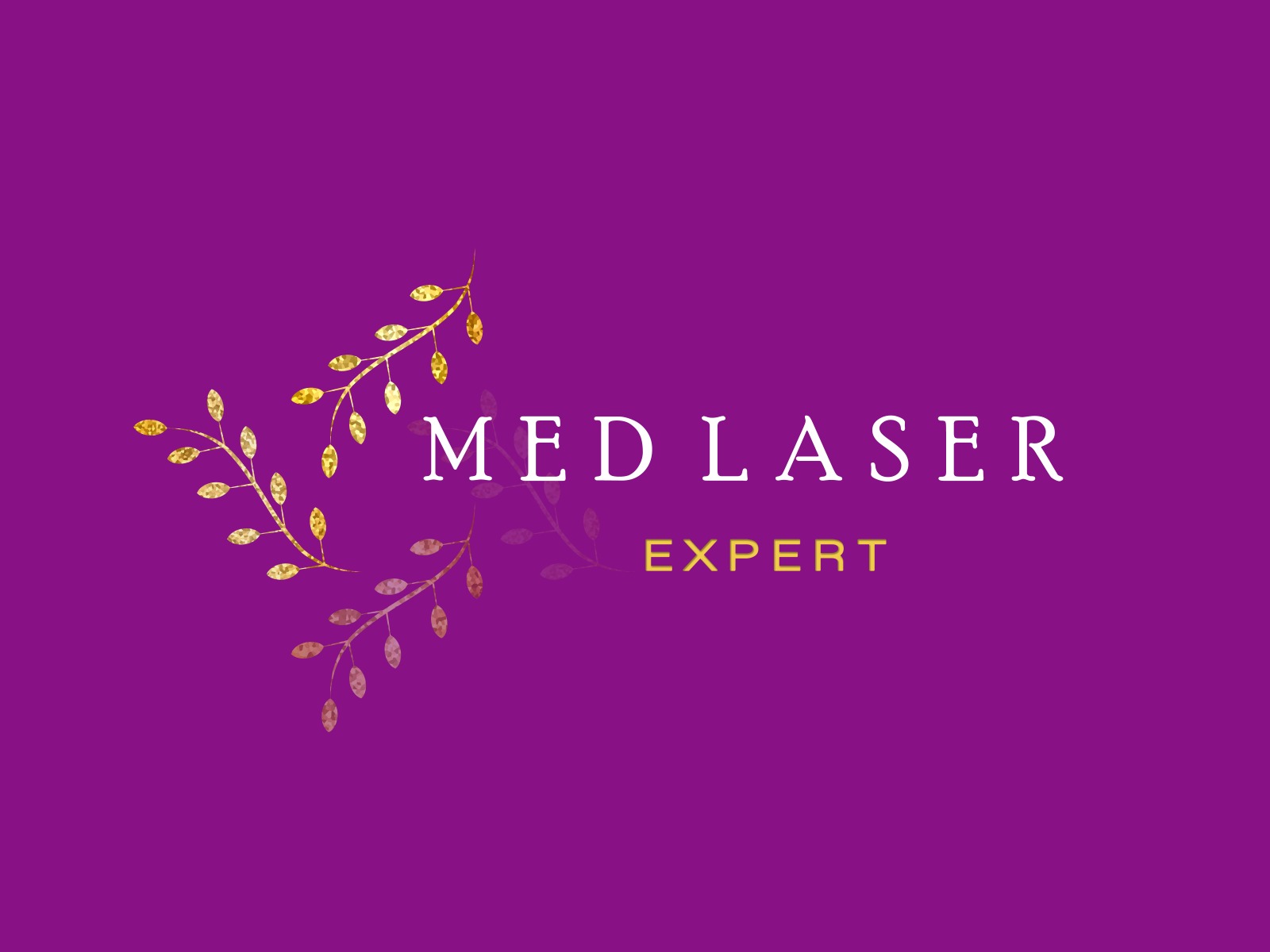 MED LASER EXPERT