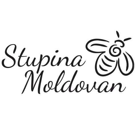 Stupina Moldovan