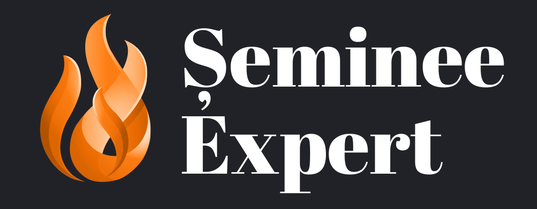 Șeminee Expert