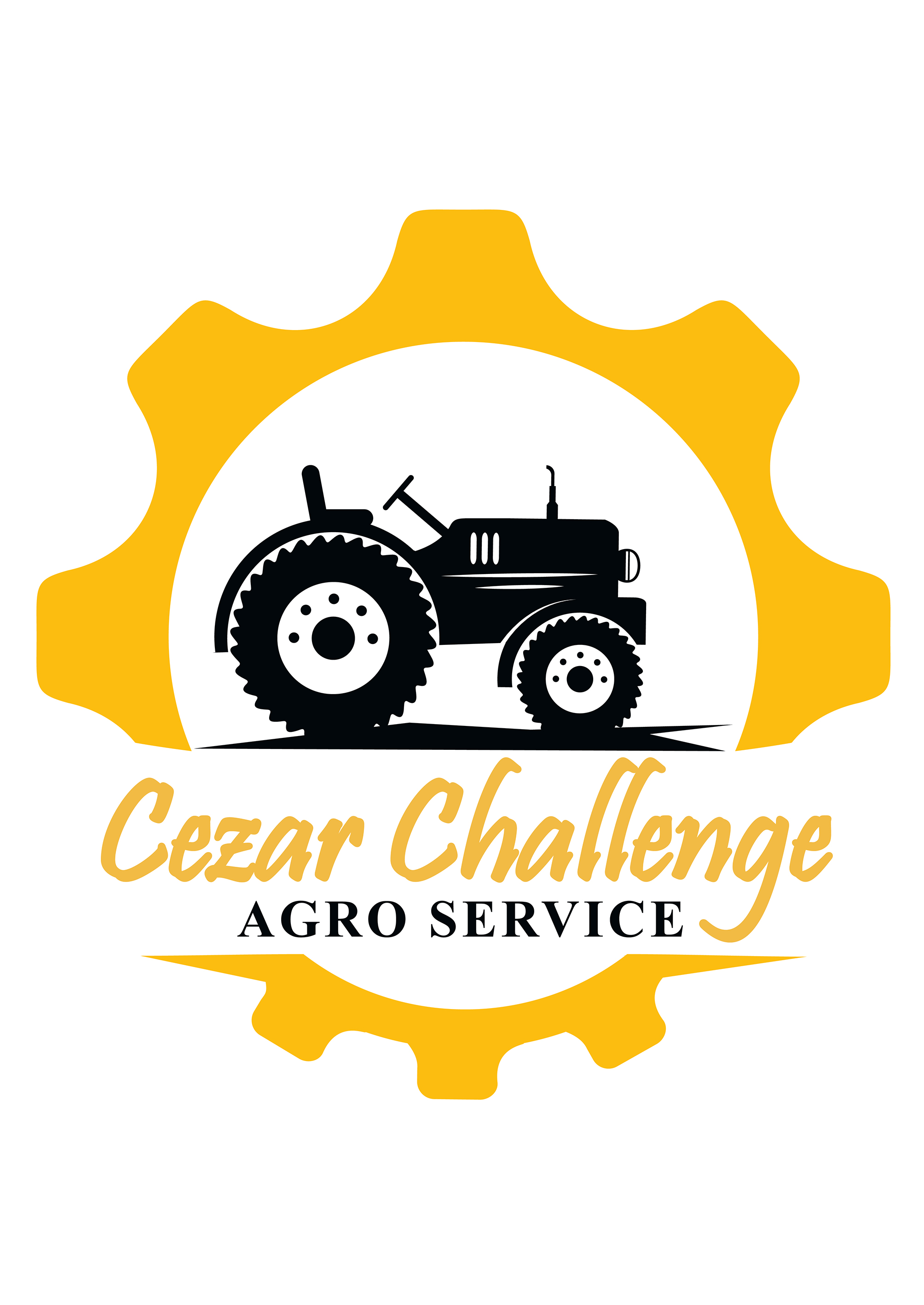 Cezar Challenge AGRO SERVICE