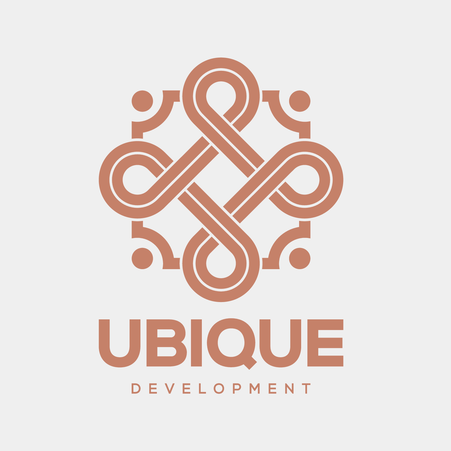 UBIQUE DEVELOPMENT