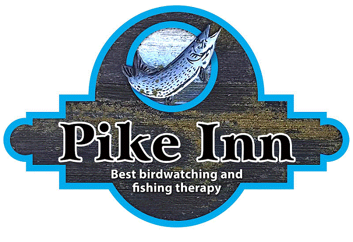 Pike Inn Best birdwatching and fishing therapy