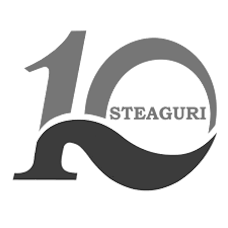 10 STEAGURI