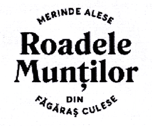 Roadele Munţilor MERINDE ALESE DIN FĂGĂRAŞ CULESE