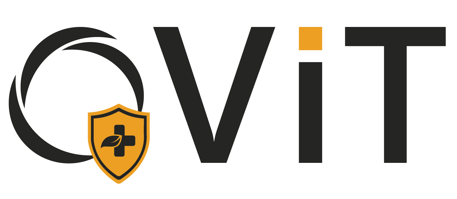 QViT
