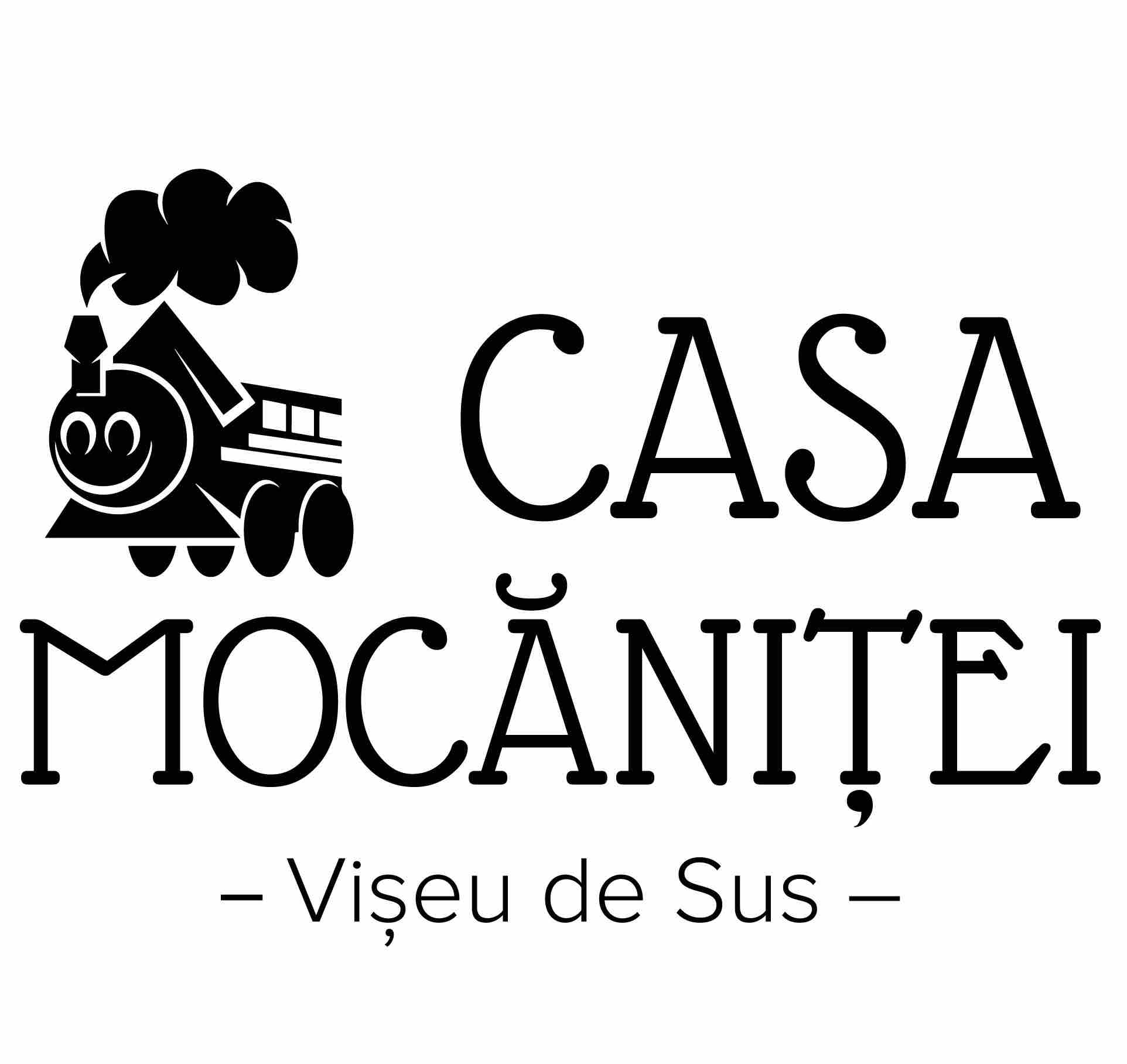 CASA MOCĂNIȚEI Vișeu de Sus