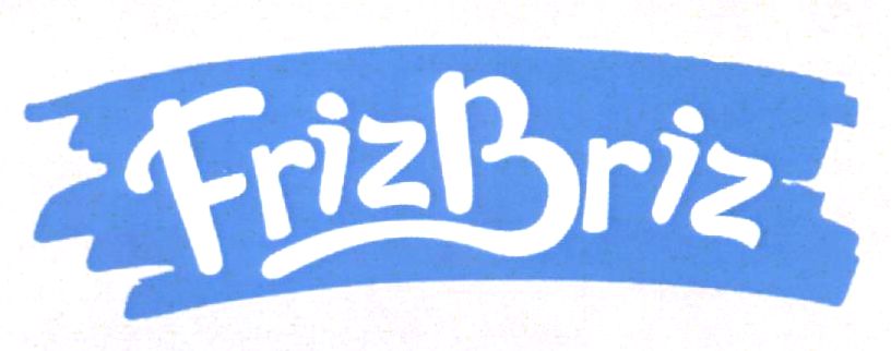 FrizBriz