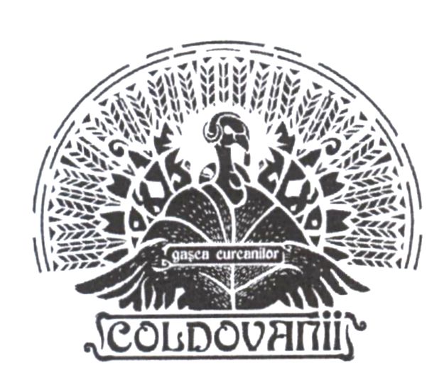 gașca curcanilor COLDOVANII