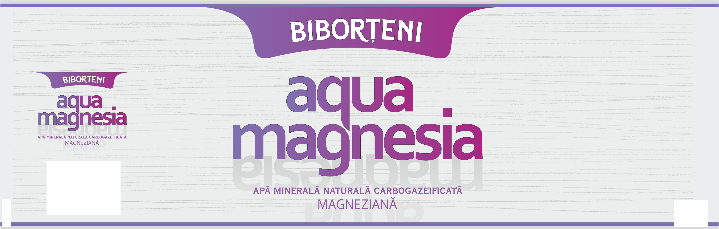 BIBORTENI aqua magnesia APA MINERALA CARBOGAZEIFICATA MAGNEZIANA
