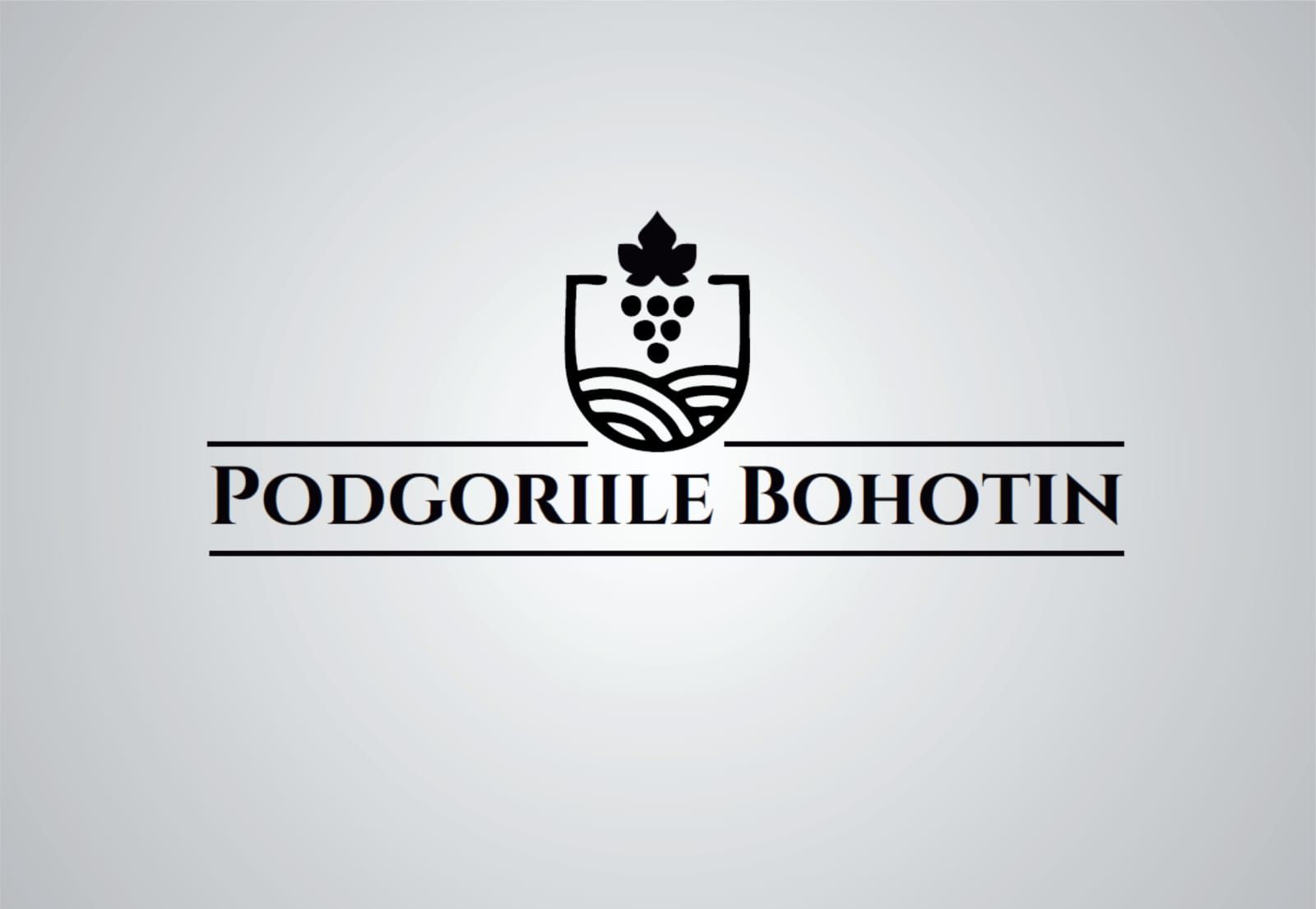 PODGORIILE BOHOTIN